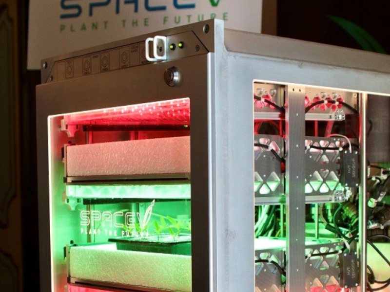 Scopri EUROFLORA 4.0: A Genova tutto il meglio della ricerca “eco-sostenibile” applicata alle colture.