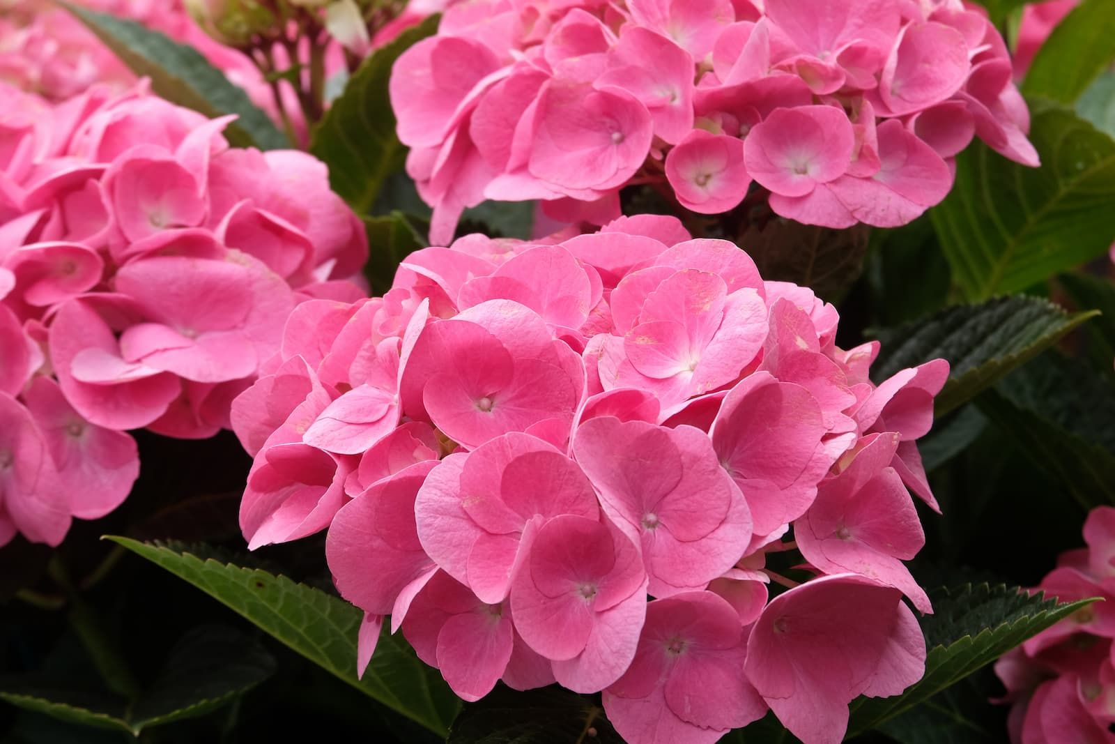 Scopri La musica si fa spazio,  con i concerti della “rinascita”